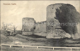 11967991 Pevensey Pevensey Castle Arun - Autres & Non Classés