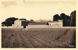 34)  Environs De PEZENAS  - Chateau GRANGE Des PRES   (  Labour Des Vignes  ) - Pezenas