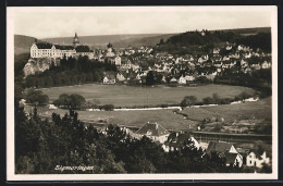 AK Sigmaringen, Ortschaft Mit Schloss Und Umgebung  - Sigmaringen