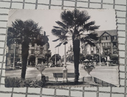 La Baule Les Pins. Place Des Palmiers - Other & Unclassified