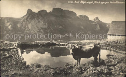 11965191 Appenzell IR Alpsiegel Blick Gegen Hohe Haeuser Kuh Bergsee Appenzell - Autres & Non Classés