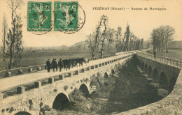 34)   PEZENAS  - Avenue De Montagnac - Pezenas