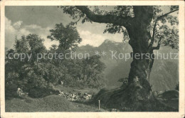 11965108 Braunwald GL Alter Baum Braunwald - Sonstige & Ohne Zuordnung