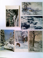 Winter, Natur, Landschaft, Teils Künstlerkarten, 6 Alte AK, 1x Gelaufen 1913, 2x Ungelaufen, 3x Rückseite Be - Non Classés