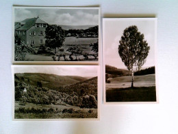 Vielbrunn I. Odenw., Gasthaus Stier, Ohrenbachtal, Einsame Braut, 3 AK, Ungelaufen, Ca. 1955, Konvolut - Autres & Non Classés