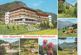 AK 215959 GERMANY - Oberstdorf - Tiefenbach - Der Alphof - Oberstdorf