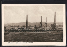 AK Campina, Rafineria Steava Romand, Erdöl  - Roumanie