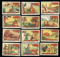 Meurisse - Ca 1930 - 75 - Fables De La Fontaine - Full Serie - Autres & Non Classés