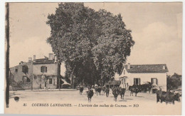 Landes / Courses Landaises, Arrivée Des Vaches De Courses - Other & Unclassified