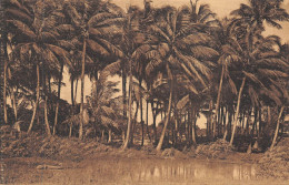 24-5602 : GUYANE. COCOTIERS - Sonstige & Ohne Zuordnung