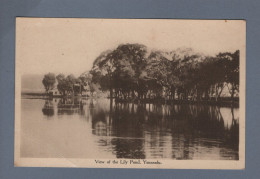 CPA - Chine - View Of The Lily Pond, Yunnanfu - Non Circulée - Chine