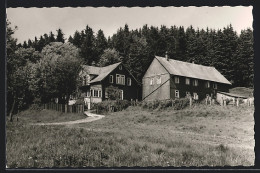 AK St. Andreasberg /Oberharz, Gebäude Mit Wald  - St. Andreasberg