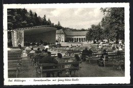 AK Bad Wildungen, Konzertpavillon Mit Georg-Viktor-Quelle  - Bad Wildungen