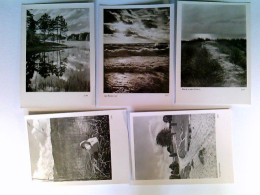 See, Schwan, Düne, Heidelandschaft, Versch. Ansichten, Fotokunst Groh, 5 Foto AK, Ungelaufen, Ca. 1960, Konvo - Unclassified
