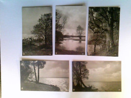 Seen, Fluss, See, Landschaft, Natur, 5 AK, Ungelaufen, Ca. 1960, Konvolut - Unclassified