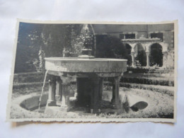 CARTE PHOTO 81 TARN - ALBI : Le Parc - La Fontaine - Albi