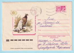 USSR 1977.0404. Brown Eared Pheasant (Crossoptilon Mantchuricum). Prestamped Cover, Used - 1970-79