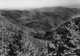 68  Vue Sur Le Lac ALFELD  Ballon De Guebwiller GRAND BALLON  N° 103 \MK3001 - Guebwiller