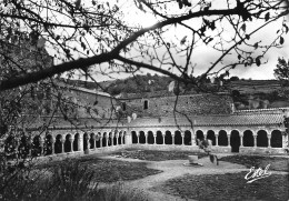 66  ABBAYE De  SAINT MICHEL DE CUXA PRADES Vue Générale Du Cloitre  N° 24 \MK3002 - Prades