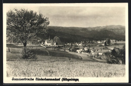 AK Hinterhermsdorf I. Sa., Panorama  - Hinterhermsdorf