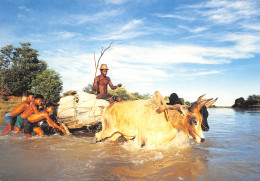 MADAGASCAR Passage D'un Gué à MAHAJUNGA Majunga MAHAJANGA Attelage Boeuf ZEBU   N° 60 \MK3005 - Madagascar