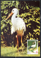 BULGARIA BULGARIE BULGARIEN 1988 DATED 1987 BIRDS FAUNA CICONIA CICOGNA BIRD 5s MAXI MAXIMUM CARD - FDC