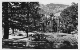 MONACO   Monte Carlo Les Jardins De La Petite Afrique  N° 41 \MK3006 - Monte-Carlo