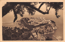 MONACO  Le Rocher Vue Prise De L'observatoire Entre Les Arbres  N° 60 \MK3006 - Palacio Del Príncipe