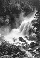 65 CAUTERETS Cascade Du LUTOUR édition Quinault  N° 80 \MK3009 - Cauterets