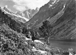 65 CAUTERETS Pont D'espagne Le LAC DE GAUBE Et Le Vignemale  N° 85 \MK3009 - Cauterets