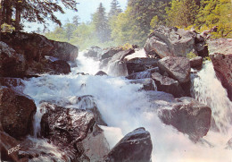 65 CAUTERETS Cascade Du Pas De L'Ours  édition  Pierron N° 84 \MK3009 - Cauterets