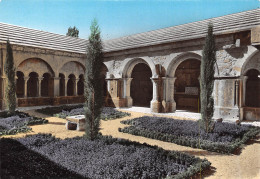 84 VAISON LA ROMAINE  Cloitre De La Cathédrale Les Jardins  N° 31 \MK3012 - Vaison La Romaine