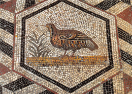 84 VAISON LA ROMAINE  Mosaiques De La Villa Du Paon La Perdrix   N° 70 \MK3012 - Vaison La Romaine