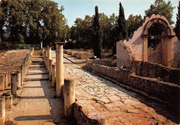 84 VAISON LA ROMAINE  Quartier De La Villasse Boutiques Et Rue Dallée Et Arcades Et Basilique  N° 77 \MK3012 - Vaison La Romaine