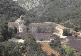 84 GORDES Abbaye De SENANQUE Vue Du Nord  N° 32 \MK3014 - Gordes