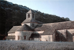 84 GORDES Abbaye De SENANQUE   N° 33 \MK3014 - Gordes