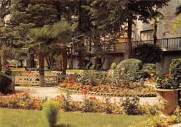 84 CAVAILLON Un Coin Fleuri Dans Le Jardin Public   N° 60 \MK3015 - Cavaillon