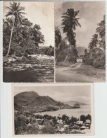 3 CARTOLINE DI GUADELOUPE - FORMATO PICCOLO - Other & Unclassified