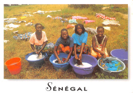 SENEGAL  Jeunes Lingères   N° 43 \MK3019 - Sénégal