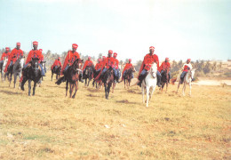 SENEGAL  Dakar Escadron De La Garde Rouge En Campagne  N° 48 \MK3019 - Sénégal