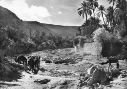 ALGERIE BOU-SAADA Cité Du Bonheur  L'oued   N° 85 \MK3019 - Andere & Zonder Classificatie