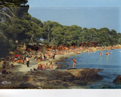 83- LA LONDE - PLAGE DE L' ESPAGNOL - La Londe Les Maures