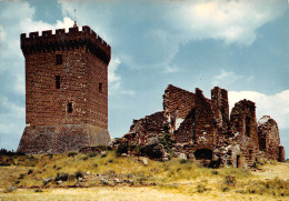43  POLIGNAC  Le Chateau Ruines Près Du Puy En Velay   N° 17 \MK3025 - Le Puy En Velay