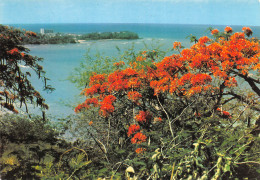 97 GUADELOUPE  La Pointe De La Verdure Vue Du Fort  N° 13 \MK3027 - Pointe A Pitre