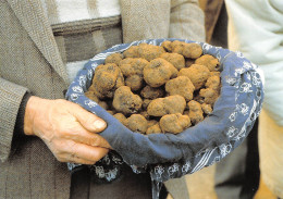 Recette Truffe Noire Du QUERCY à LALBENQUE Cahors Figeac Gourdon   N° 74 \MK3029 - Recettes (cuisine)