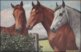 Feldpost Mit BS 5.A.M.K. 16.A.K. FELDPOST 4.2.17 Auf AK Gemälde Drei Pferde - Autres & Non Classés