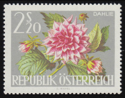 1148 Int. Gartenschau WIG '64, Dahlie,  2.20 S, Postfrisch, ** - Nuevos