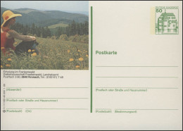 P130-h11/163 - 8640 Kronach, Waldlandschaft ** - Illustrated Postcards - Mint