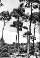 SAINT JEAN DE MONTS Vue Sur L'église Entre Les Arbres   N° 4 \MK3032 - Saint Jean De Monts