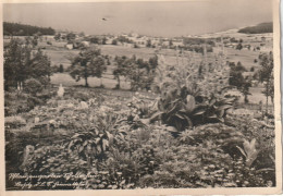 Schellerhau, Gel.1939   Pflanzengarten - Schellerhau